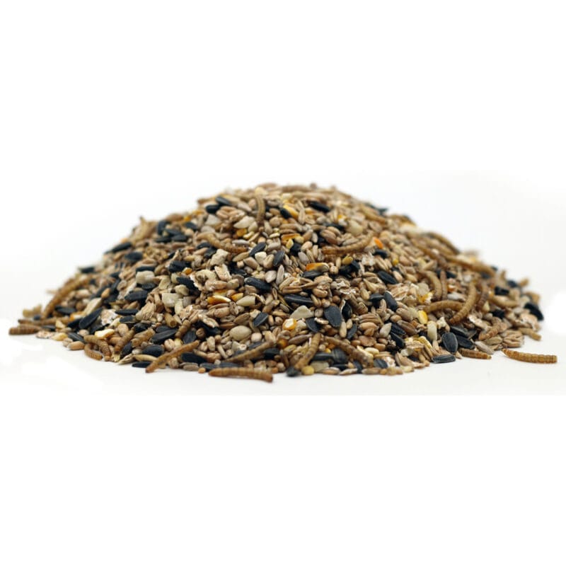 Autumn Winter Bird Seed